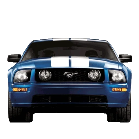 Carro Novinho
